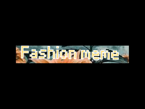 FASHION MEME COLLAB 