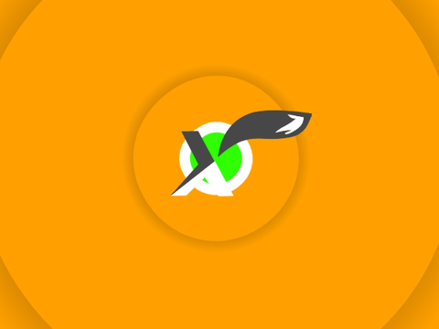 Very Simple Intro For FoxFX