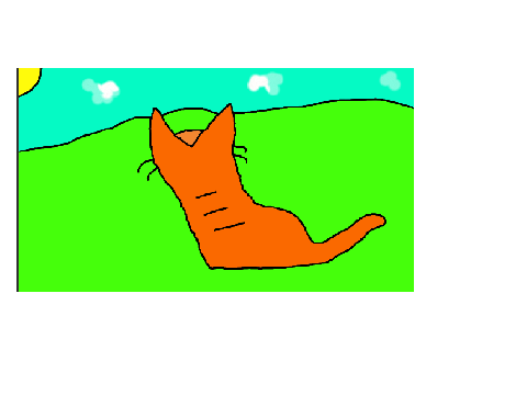 the waiting cat