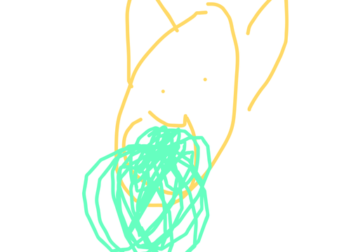  Corgis