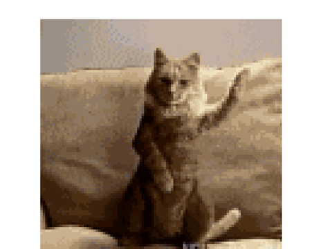 The KittyGod 