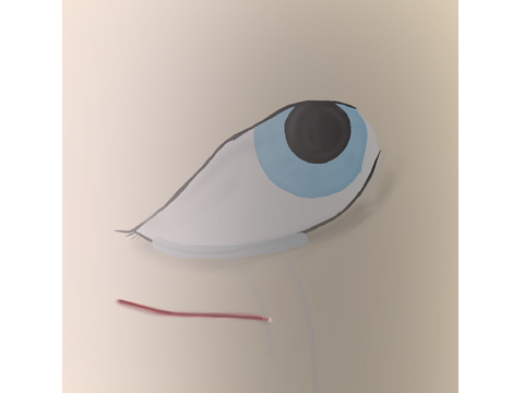 I did art