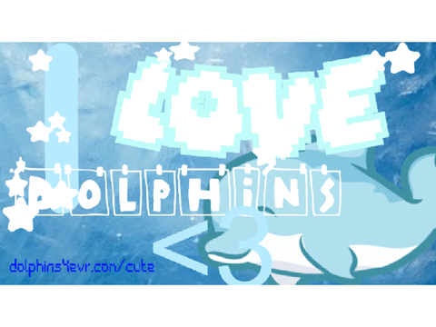 Dolphins:D