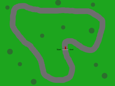 Race