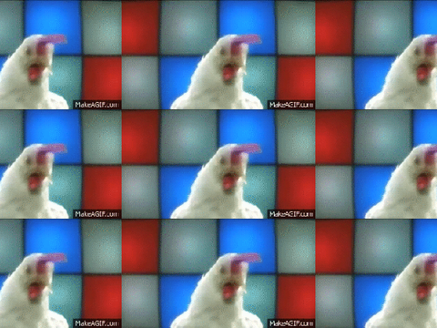 The Chicken Song