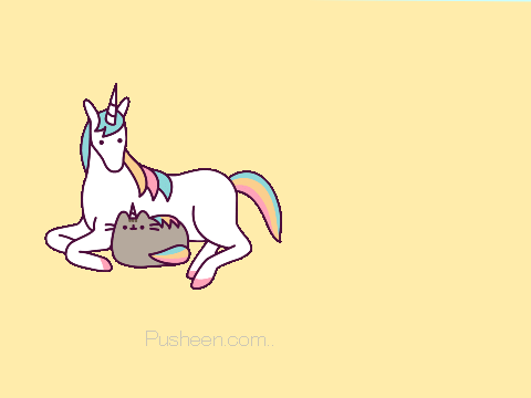 Pusheen with a Unicorn!