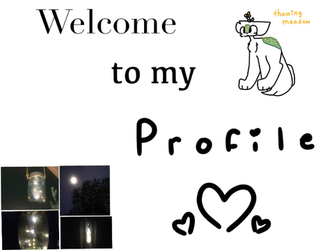 •Welcome to My Profile•