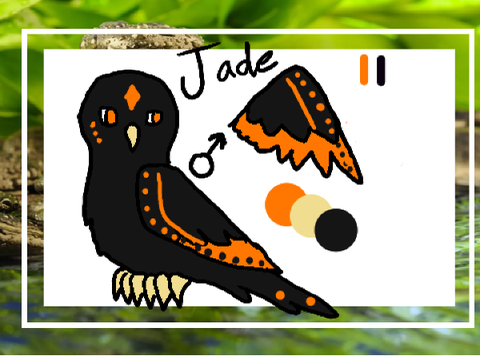 Official OC Refs