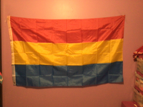 My 1st flag