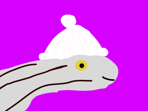 Pfp for ARegularBoatman