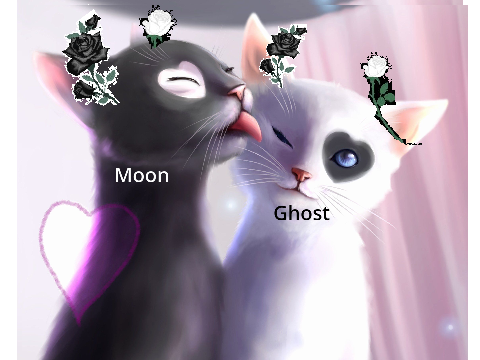 Moon--- and ghost----