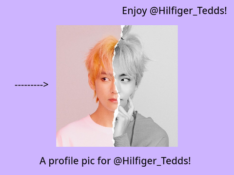 A profile pic for @Hilfiger_Tedds