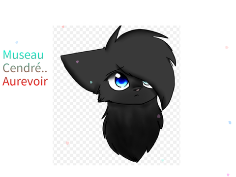 Aurevoir Museau Cendré T-T