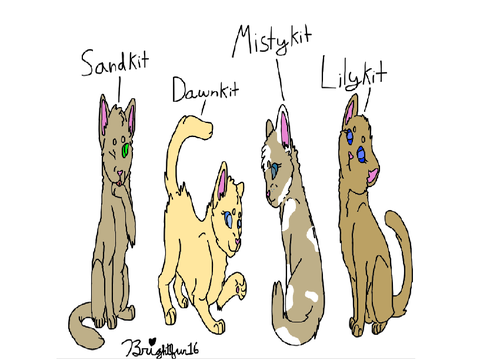 Sandkit, Dawnkit, Mistykit and Lilykit