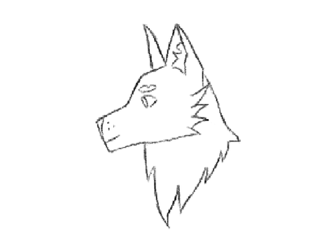New pfp!