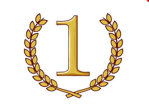1 Year