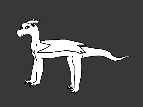 Random Animation