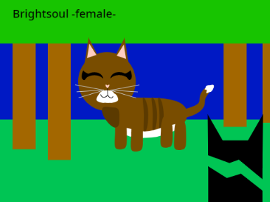 Warrior cats undetold tales!