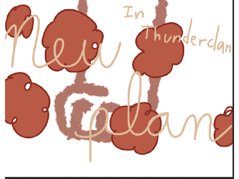 In ThunderClan: New Plan