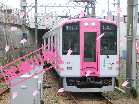 ☆フォロワー100人記念☆阪神線　武庫川桜