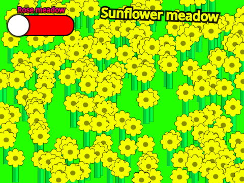 Sunflower meadows