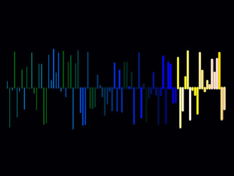 Visualizer 