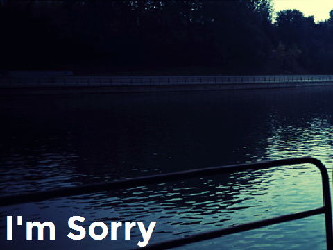 I'm sorry