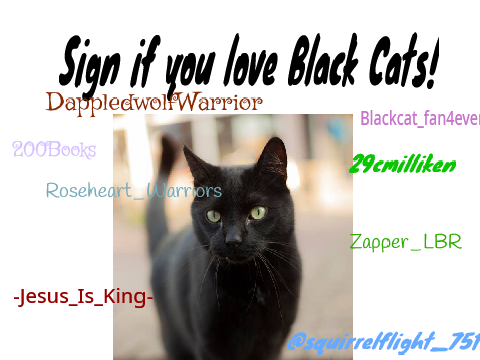 Black cats are amazing! Sign here if you agree! remix remix remix remix remix