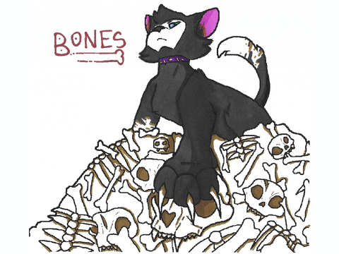 ✨ BONES CCE ✨