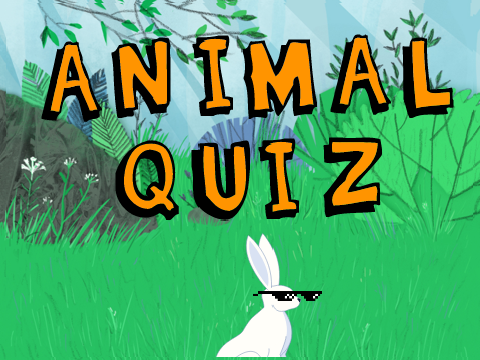 Animal Quiz 