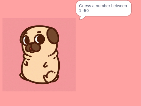 Guess that number pug