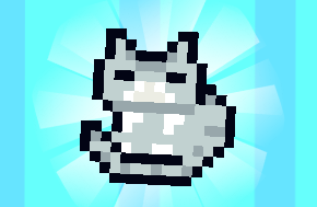Cat Petter
