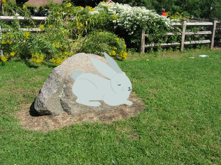 rabbit