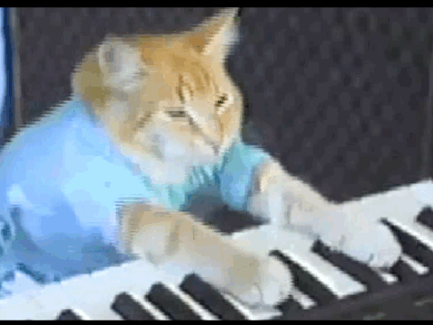Keyboard Cat