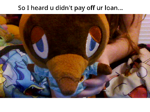 Random stuffed animal pictures