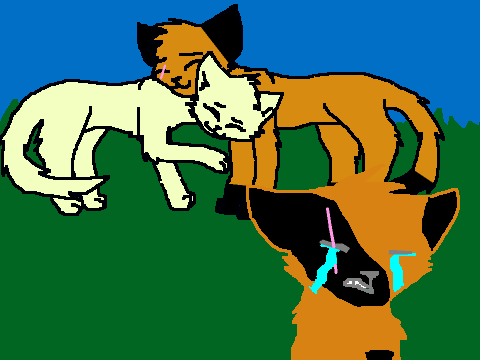 All Scarredshadow Ever Wanted