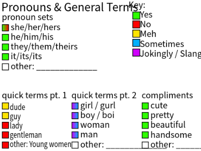 Terms & Pronouns Sheet irl me