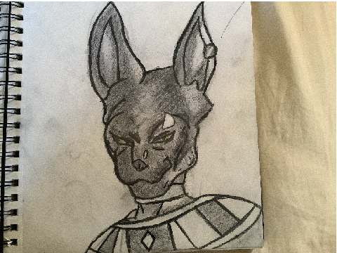 drawing showcase idk