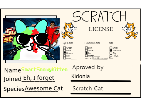 Make Your Own Scratch License remix remix