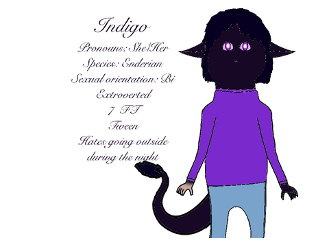 Introducing Indigo! (Sry I'm bad at drawing bipeds)