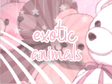 reacting to exotic animals!