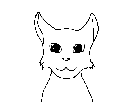 Test maybe?