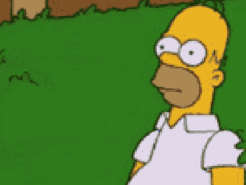 Homer and the Bush... lol