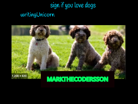 Lagotto romagnolo  remix