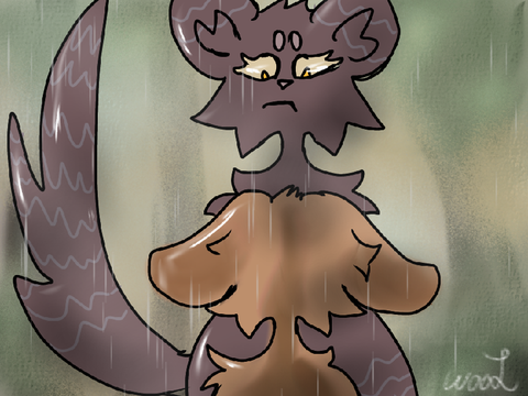 cc entry