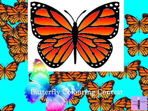 Butterfly Colouring Contest- *open* remix