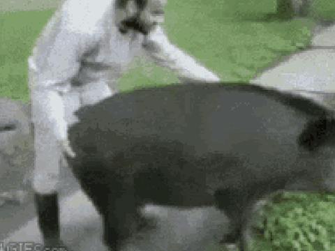 Gas Gas Gas