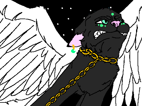 my entry-