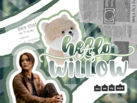 bce for willow