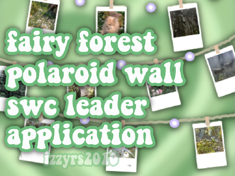 fairy forest polaroid wall - SWC leader application